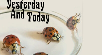 Staying Home with The Beetles