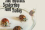 Staying Home with The Beetles