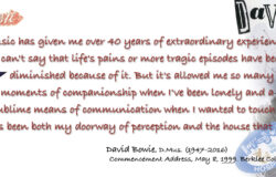 ✩༻ੈ‧‧‧‧ੈ༺✭